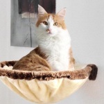 Catwalk