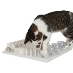 Intelligenzspielzeug für Katzen