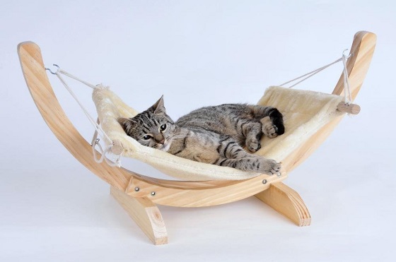 Für ein entspanntes Leben von Katze und Besitzer