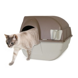 zugänglichkeit des katzenklos